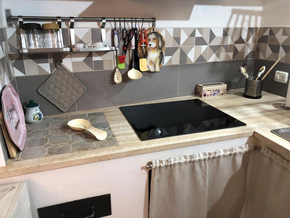 La Casa Di Zoe Daire Campiglia Marittima Dış mekan fotoğraf