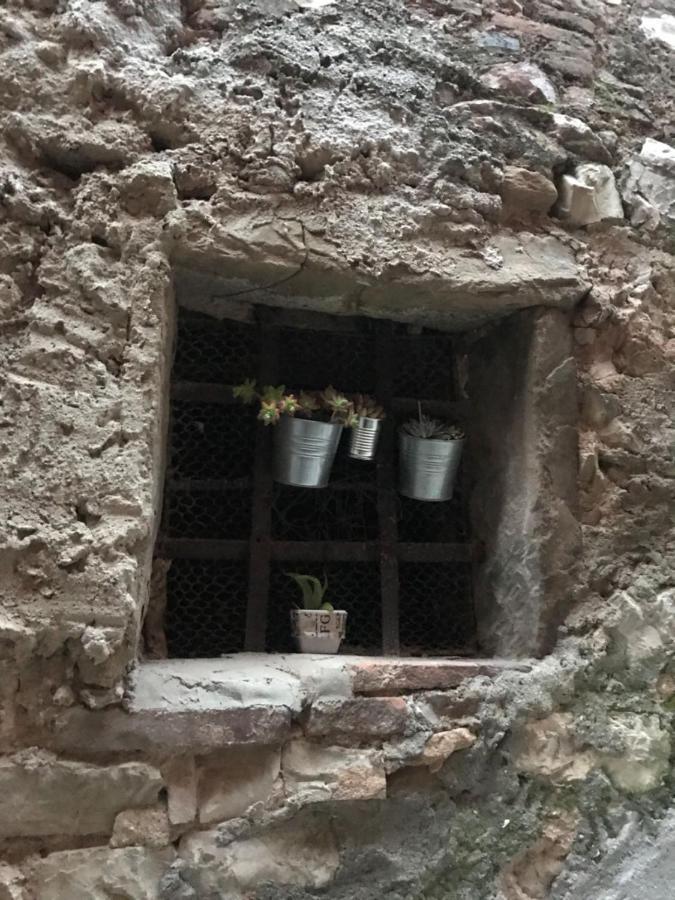 La Casa Di Zoe Daire Campiglia Marittima Dış mekan fotoğraf